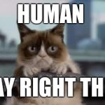 Grumpy cat driving | HUMAN; STAY RIGHT THERE | image tagged in grumpy cat driving | made w/ Imgflip meme maker