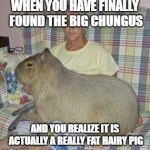 The new big chungus | WHEN YOU HAVE FINALLY FOUND THE BIG CHUNGUS AND YOU REALIZE IT IS ACTUALLY A REALLY FAT HAIRY PIG | image tagged in the new big chungus | made w/ Imgflip meme maker