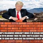 Trump wall | IF TRUMP'S FOLLOWERS WOULDN'T MIND IF HE BEGAN SHOOTING PEOPLE ON FIFTH AVENUE THEN I'M SURE THEY'D GLADLY OBLIGE HIM IF HE ASKED THEM TO SEND HIM THEIR BIG TAX REFUNDS TO HELP WITH THE WALL. | image tagged in trump wall | made w/ Imgflip meme maker