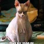 Pregnant Cat | WHEN SHE'S LIKE 20 MONTHS; AND ALL 1500 OF HER FOLLOWERS ARE DONE WITH THE PREGNANCY TOO... | image tagged in pregnant cat | made w/ Imgflip meme maker