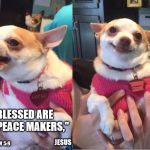 Repentant Chihuahua | "BLESSED ARE THE PEACE MAKERS,"; JESUS; MATTHEW 5:9 | image tagged in repentant chihuahua,forgiveness,jesus christ,god is love,peace | made w/ Imgflip meme maker