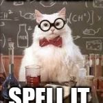 SMART CAT | ARE YOU SMART? SPELL IT. | image tagged in smart cat | made w/ Imgflip meme maker