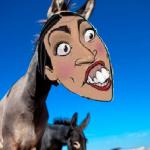 AOC