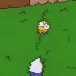 Homer disappears into bush meme