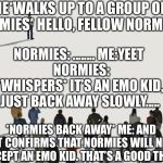 Me Testing To See If Normies Will Accept Emo Kids | ME*WALKS UP TO A GROUP OF NORMIES* HELLO, FELLOW NORMIES! NORMIES: ........
ME:YEET 
NORMIES: *WHISPERS* IT’S AN EMO KID, JUST BACK AWAY SLOWLY..... *NORMIES BACK AWAY*
ME: AND THAT CONFIRMS THAT NORMIES WILL NEVER ACCEPT AN EMO KID. THAT’S A GOOD THING | image tagged in singled out,yay,test,mwahahaha,yeet,normie | made w/ Imgflip meme maker