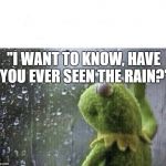 Kermitt  | "I WANT TO KNOW, HAVE YOU EVER SEEN THE RAIN?" | image tagged in kermitt | made w/ Imgflip meme maker