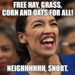 AOC aka horse | FREE HAY, GRASS, CORN AND OATS FOR ALL! NEIGHHHHHH, SNORT. | image tagged in aoc aka horse | made w/ Imgflip meme maker