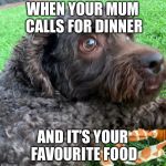 Scared Dog | WHEN YOUR MUM CALLS FOR DINNER; AND IT’S YOUR FAVOURITE FOOD | image tagged in scared dog | made w/ Imgflip meme maker
