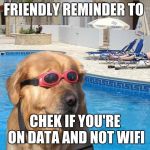 doggo | FRIENDLY REMINDER TO; CHEK IF YOU'RE ON DATA AND NOT WIFI | image tagged in doggo | made w/ Imgflip meme maker