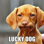 Frowning Dog | LUCKY DOG | image tagged in frowning dog | made w/ Imgflip meme maker