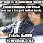 thanks dad | DaD, wHy ArE mY sIsTeR's NaMeS cAlLeD rOsE aNd DaIsY? Because when they were born, a rose and a daisy fell on their heads. ThAnKs DaD!!!!! No problem, brick. | image tagged in thanks dad | made w/ Imgflip meme maker