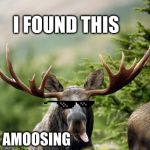 Moose | I FOUND THIS; AMOOSING | image tagged in moose | made w/ Imgflip meme maker