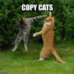 Two cats fighting | COPY CATS | image tagged in two cats fighting | made w/ Imgflip meme maker