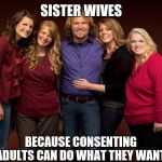 Mormon | SISTER WIVES; BECAUSE CONSENTING ADULTS CAN DO WHAT THEY WANT. | image tagged in mormon | made w/ Imgflip meme maker