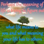 Meaning of Life | Perhaps the meaning of life is trying to figure out; what life means to you and what meaning your life has to others | image tagged in beautiful life,inspiring,inspirational quote,meaning of life,inspire the people | made w/ Imgflip meme maker