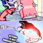 deep fried facts | KETCHUP IS JUST BONELESS TOMATOS | image tagged in deep fried facts | made w/ Imgflip meme maker