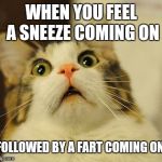 #Snart | WHEN YOU FEEL A SNEEZE COMING ON; FOLLOWED BY A FART COMING ON | image tagged in omg kitty,memes,sneeze,embarrassing,awkward,delaying the inevitable | made w/ Imgflip meme maker