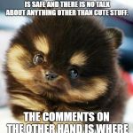 CUTE CUDDLY AND SAVE | WELCOME TO IMGFLIP FRONT FUN SECTION WHERE EVERYTHING IS SAFE AND THERE IS NO TALK ABOUT ANYTHING OTHER THAN CUTE STUFF. THE COMMENTS ON THE OTHER HAND IS WHERE %$()#*&#$(!!! HAPPENS. | image tagged in cute puppy eyes | made w/ Imgflip meme maker