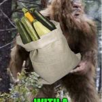 Sasquatch spotted coming home from shopping | SASQUATCH; WITH A SACKOFSQUASH | image tagged in sasquatch,memes,squash,shopping,what if i told you,spotted | made w/ Imgflip meme maker