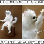 Weird cat | WHEN THEY TELL YOU TO DO SOMETHING; JUST TO IMMEDIATELY GET IN YOUR WAY | image tagged in weird cat | made w/ Imgflip meme maker