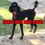 Marley Poodle | MEESA MAR MAR BINKS | image tagged in marley poodle,mar mar binkys,mtr602,tommy mac,the binkies | made w/ Imgflip meme maker