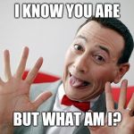Pee Wee Conspiracy  | I KNOW YOU ARE; BUT WHAT AM I? | image tagged in pee wee conspiracy | made w/ Imgflip meme maker
