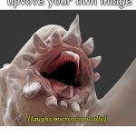 Laughs Microscopically | when you can upvote your own image; [laughs microscopically] | image tagged in laughs microscopically | made w/ Imgflip meme maker