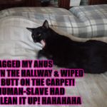 LITTLE TURD | I DRAGGED MY ANUS DOWN THE HALLWAY & WIPED MAH BUTT ON THE CARPET! MY HUMAN-SLAVE HAD TO CLEAN IT UP! HAHAHAHA | image tagged in little turd | made w/ Imgflip meme maker