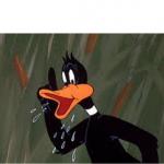 Daffy Duck TN