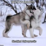 YAY! It's Friday!! | YAY!! IT'S FRIDAY!!! Sisskind Chiropractic | image tagged in yay it's friday | made w/ Imgflip meme maker