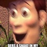 woah | ROSES ARE RED, VIOLETS ARE BLUE; DERS A SNAKE IN MY BOOT, AND IT LOOKS LIKE YOU! | image tagged in woah | made w/ Imgflip meme maker