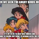 sailor moon the sailor Scouts | AFTER WE SEEN THE ANGRY BIRDS MOVIE; IT'S UP TO US TO HELP RED, CHUCK AND BOMB TO FIGURE OUT WHAT IS WRONG WITH THE PIGS | image tagged in sailor moon the sailor scouts | made w/ Imgflip meme maker