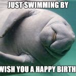 Manatee | JUST SWIMMING BY; TO WISH YOU A HAPPY BIRTHDAY | image tagged in manatee | made w/ Imgflip meme maker