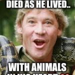 R.I.P. Steve Irwin... | STEVE IRWIN DIED AS HE LIVED.. WITH ANIMALS IN HIS HEART ❤️ | image tagged in steve irwin | made w/ Imgflip meme maker