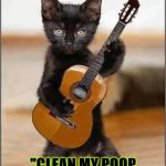 SONG CAT | WROTE A LITTLE SONG I'D LIKE TO DEDICATE TO MY HUMAN CALLED; "CLEAN MY POOP BOX YOU LAZY TURD" (OR I'LL USE THE BATHTUB) | image tagged in song cat | made w/ Imgflip meme maker