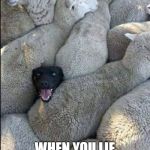 black shepp dog | WHEN YOU LIE ON YOUR RÉSUMÉ | image tagged in black sheep dog,sheep,dog,lies | made w/ Imgflip meme maker