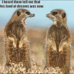 Wildlife comedy | I heard them tell me that this land of dreams was now. | image tagged in wildlife comedy | made w/ Imgflip meme maker