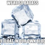 Interesting title! | WE'RE SO BADASS; WE FLOAT IN OUR OWN BLOOD | image tagged in ice cubes,memes,funny memes,overly manly man,badass,ice | made w/ Imgflip meme maker