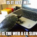 Slllowwwww connect speed | IS IT JUST ME... OR IS THE WEB A LIL SLOW? | image tagged in turtle computer | made w/ Imgflip meme maker
