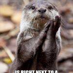 Slow-Clap Otter | AND THEN YOU REALIZE THE "HOW" MEME; IS RIGHT NEXT TO A BATMAN MEME... SO THATS WHERE THE BATMOBILE WENT. | image tagged in slow-clap otter | made w/ Imgflip meme maker