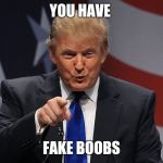 Trump immigration policy | YOU HAVE; FAKE BOOBS | image tagged in trump immigration policy | made w/ Imgflip meme maker