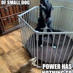Reed Family Pets | BIG DOG TERRIFIED OF SMALL DOG; POWER HAS NOTHING TO DO WITH SIZE | image tagged in reed family pets | made w/ Imgflip meme maker