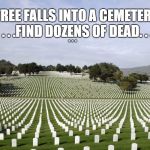 Arlington National Cemetery | TREE FALLS INTO A CEMETERY . . .FIND DOZENS OF DEAD. . . . . . | image tagged in arlington national cemetery | made w/ Imgflip meme maker