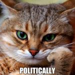 bored cat | POLITICALLY CORRECT IS SO BORING | image tagged in bored cat | made w/ Imgflip meme maker