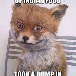 High fox | ATE A BUNCH OF INDIAN FOOD; TOOK A DUMP IN IN THE KIDDIE POOL | image tagged in high fox | made w/ Imgflip meme maker