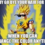 Dragon ball z | WHY GO DYE YOUR HAIR FOR 10$; WHEN YOU CAN CHANGE THE COLOR ANYTIME | image tagged in dragon ball z | made w/ Imgflip meme maker