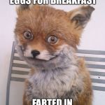High fox | HARD BOILED EGGS FOR BREAKFAST; FARTED IN THE ELEVATOR | image tagged in high fox | made w/ Imgflip meme maker