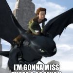 How to train your dragon | I’M GONNA MISS THESE 2 SO MUCH | image tagged in how to train your dragon | made w/ Imgflip meme maker