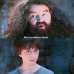You're a wizard Harry meme