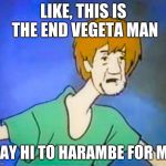 Confused shaggy  | LIKE, THIS IS THE END VEGETA MAN; SAY HI TO HARAMBE FOR ME | image tagged in confused shaggy | made w/ Imgflip meme maker